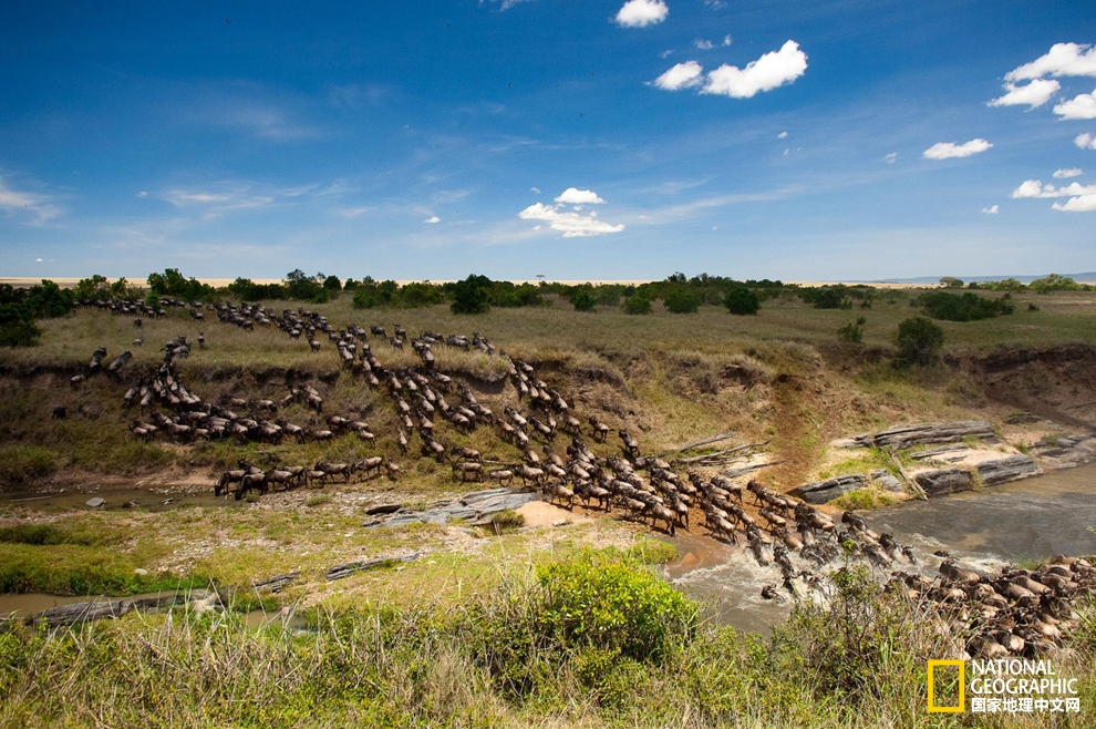 去肯尼亚怎么去最省钱,去肯尼亚自由行攻略