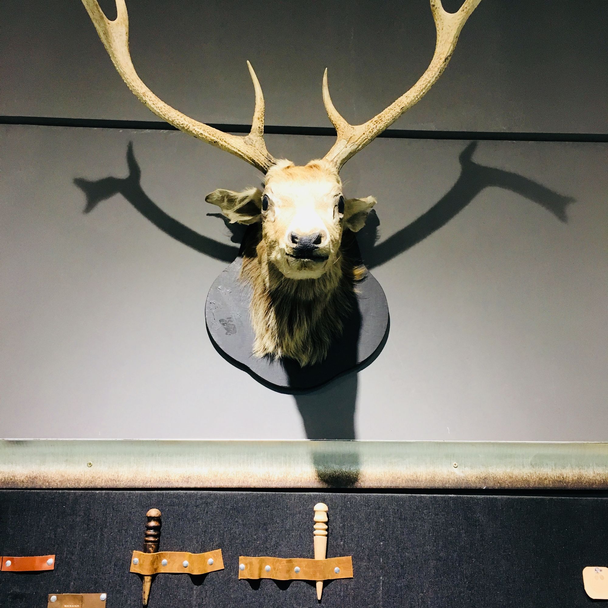 braunbuffel鳄鱼皮男士钱包,hermes爱马仕男士鳄鱼皮钱包