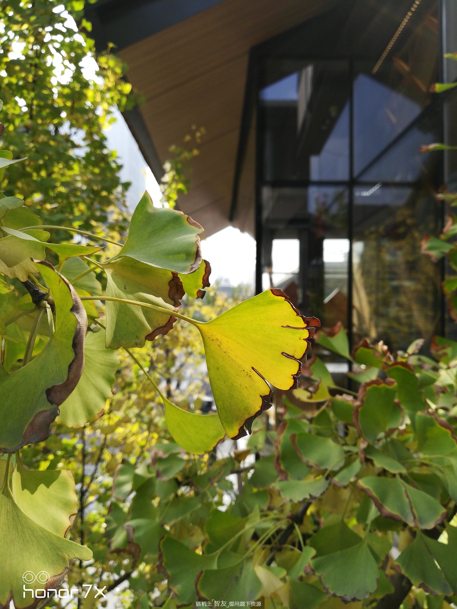 荣耀口碑最好的手机荣耀7x,华为全面屏手机荣耀7x