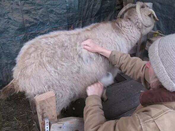 双11花十几万买东西,双11一千多卖15是真的吗