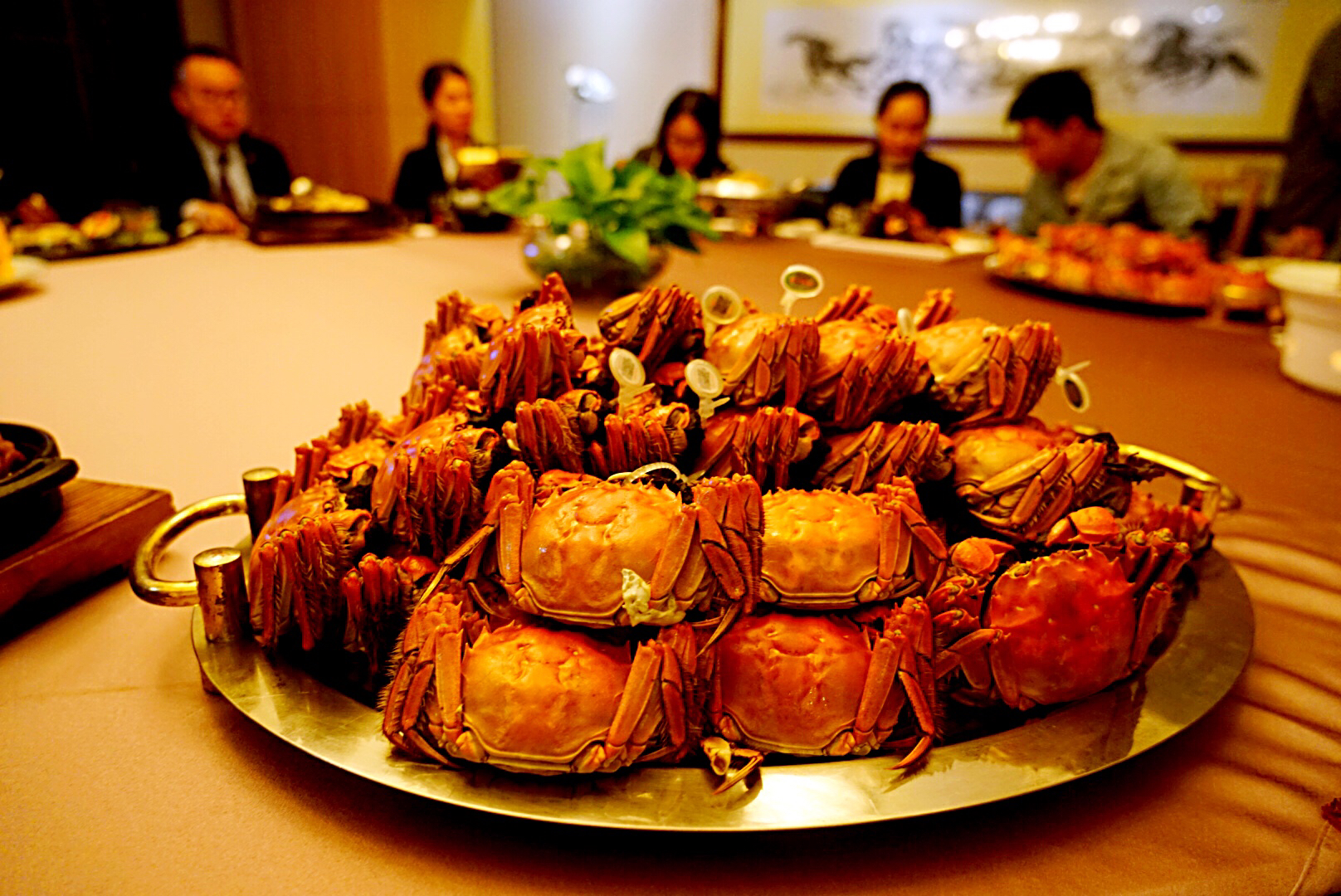 阳澄湖捞出来的大闸蟹,阳澄湖大闸蟹能捞么