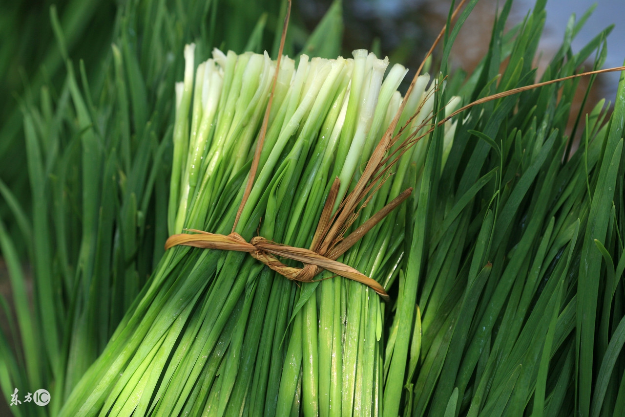 生活中的小窍门让生活更美好,生活小妙招让你的生活更简单