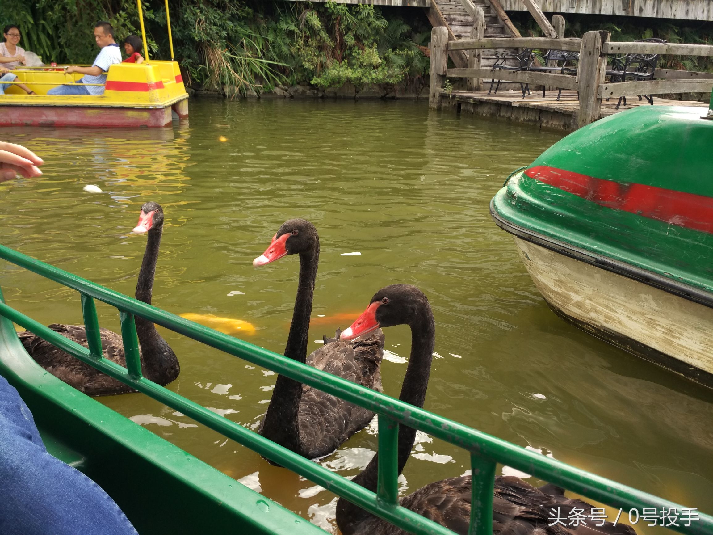 佛冈森波拉奇妙世界图片,森波拉奇妙世界景区