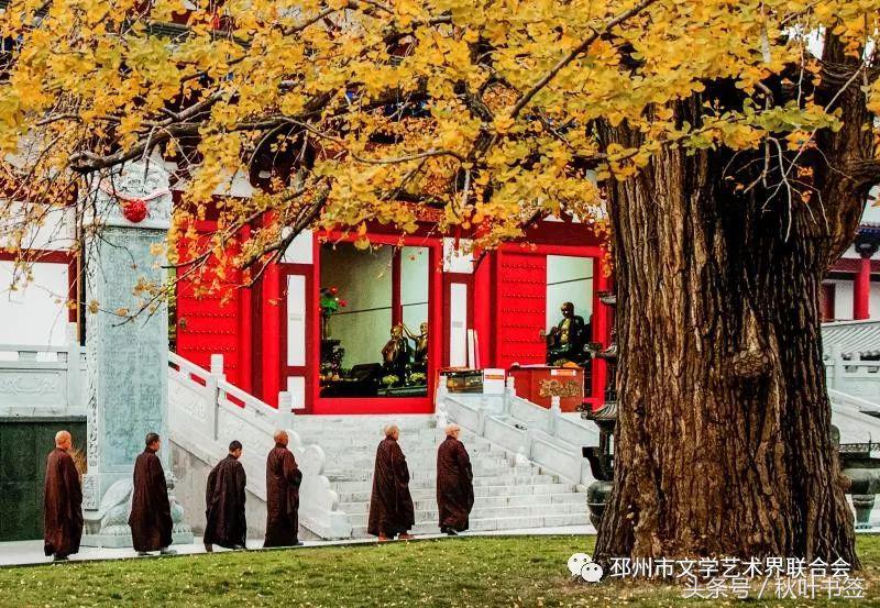 2017杏会邳州｜山东·王统武：邳州美景摄影作品欣赏