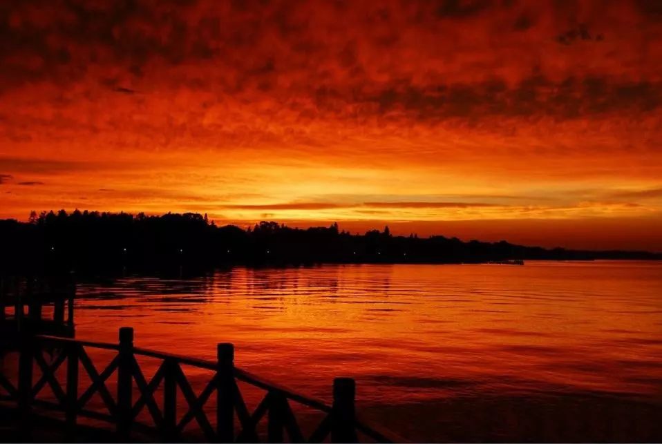 上海松江未来地铁线路图2025超清,上海各区旅游地铁线路图