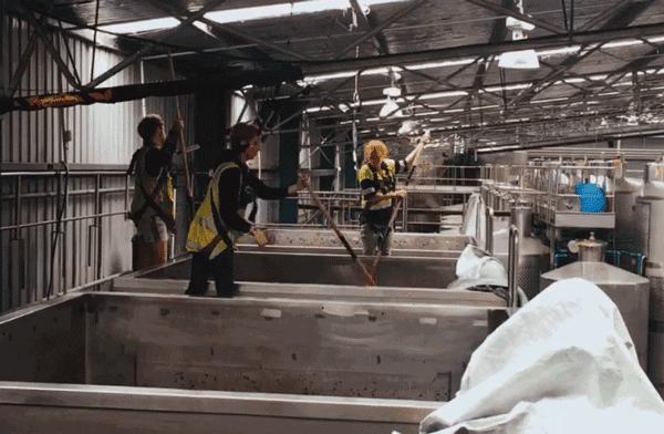 他们有钱,会玩,没有中产焦虑