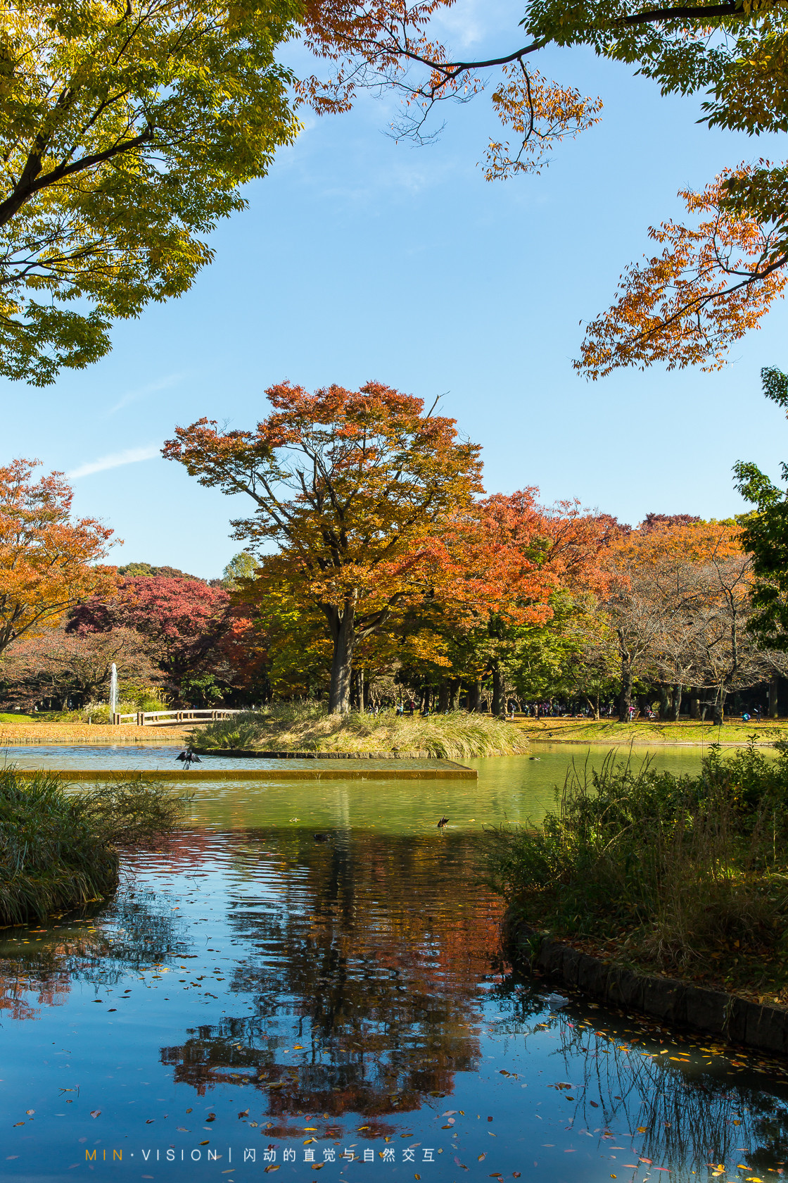 去东京玩用什么攻略,东京攻略东京