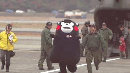 澳洲退税大全详解,澳洲退税单多过20张怎么办