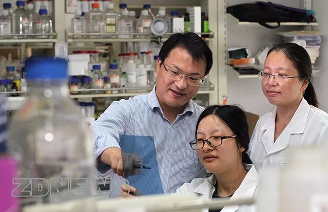 风劲扬帆正当时——这五年，浙江大学科研有了十足的进步