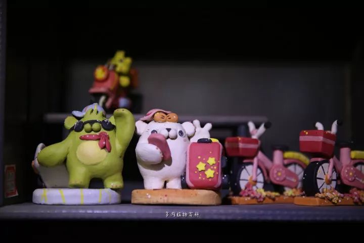 公认最美4种多肉植物图片,2014年上海多肉植物展图片