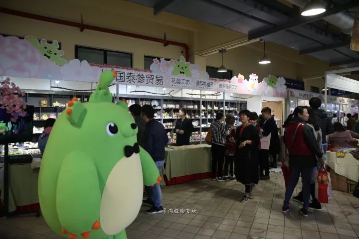 公认最美4种多肉植物图片,2014年上海多肉植物展图片