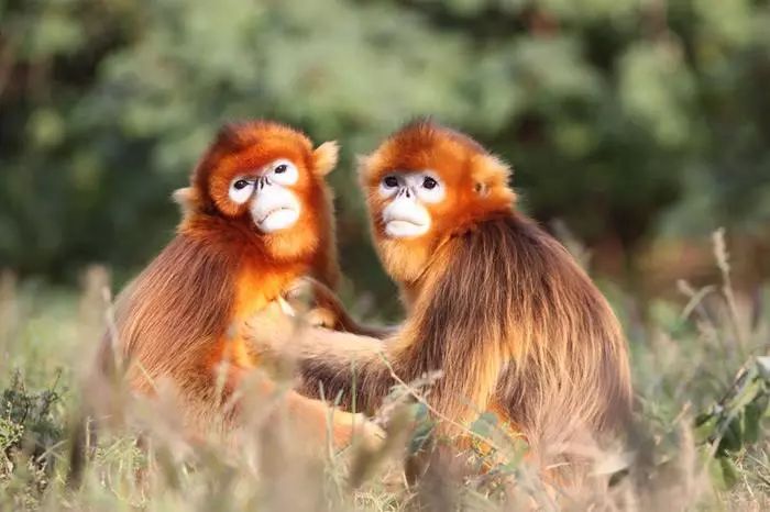 上海松江未来地铁线路图2025超清,上海各区旅游地铁线路图