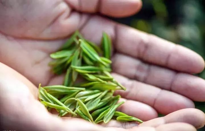 溧阳最美民宿推荐,溧阳绝美民宿