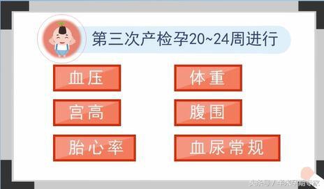 孕期检查项目时间表下载,孕期检查项目时间表花多少钱