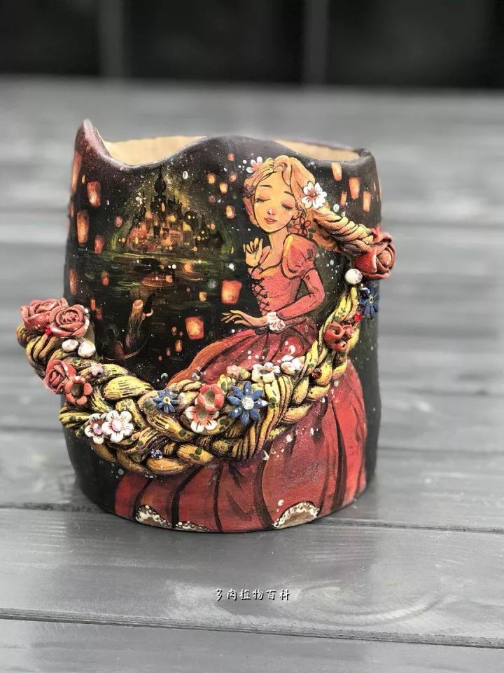 公认最美4种多肉植物图片,2014年上海多肉植物展图片