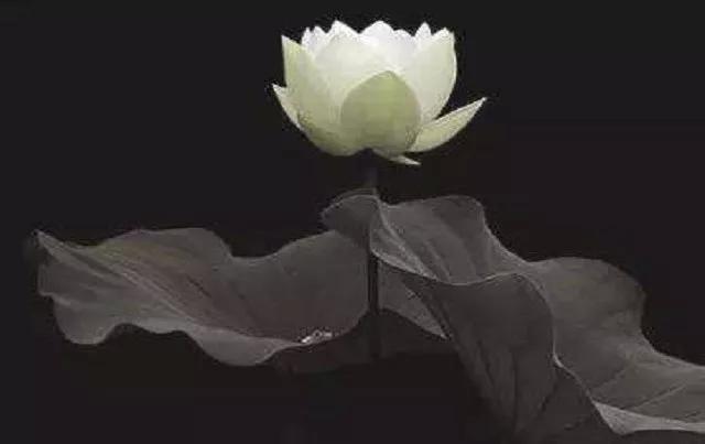 让孩子有个安全的家,给孩子一个完整的家让孩子幸福