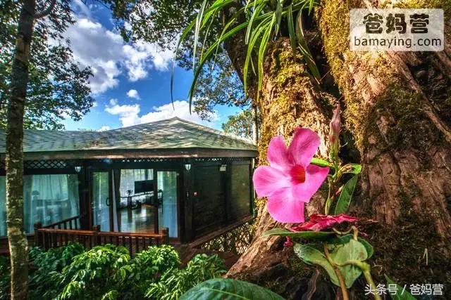 江浙沪十佳亲子酒店,适合亲子酒店推荐