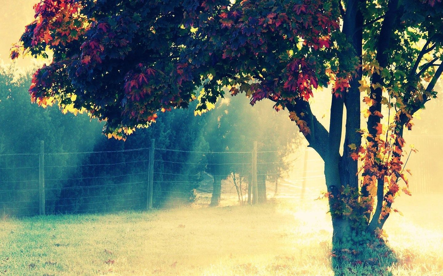 要骂就骂吧!这样的婆婆老了我该怎么照顾