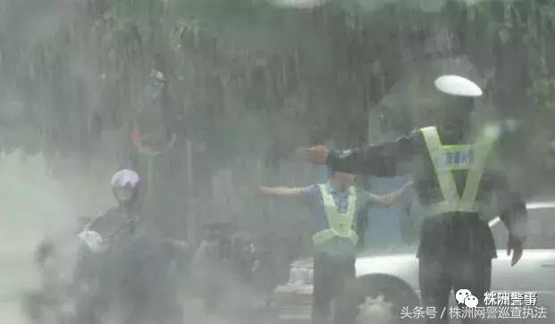 谭sir谈交通陈老师,交警谭sir