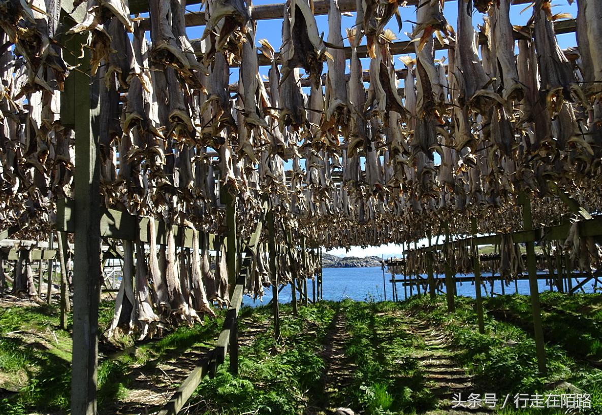 渔民：在全球物价最高的国家，为孩子花700万在岛上建足球场