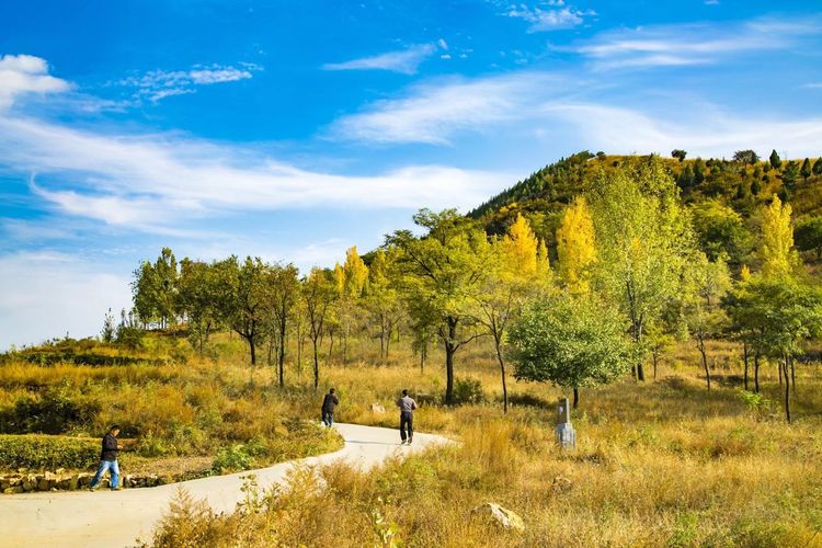 金秋沂南,诗意流淌有那么一群爱美的人,把秋季沂南送到你面前