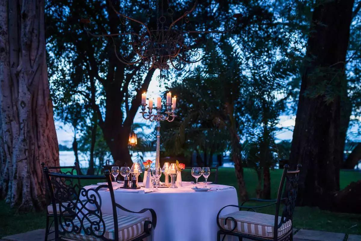 他花16年学会跟狮子交谈,而你花10天懂得了他的执著!