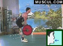 背部训练动作背心,教你几招新的背部训练动作