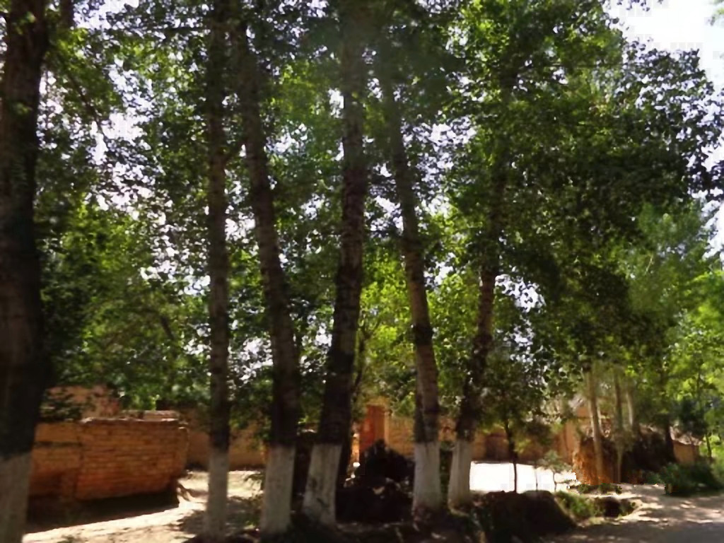 甘肃赏田园风光感受乡村魅力,甘肃渭源风景图片大全