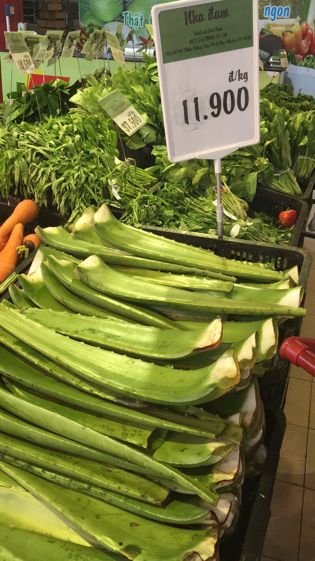 越南岘港两日游,越南岘港3日游