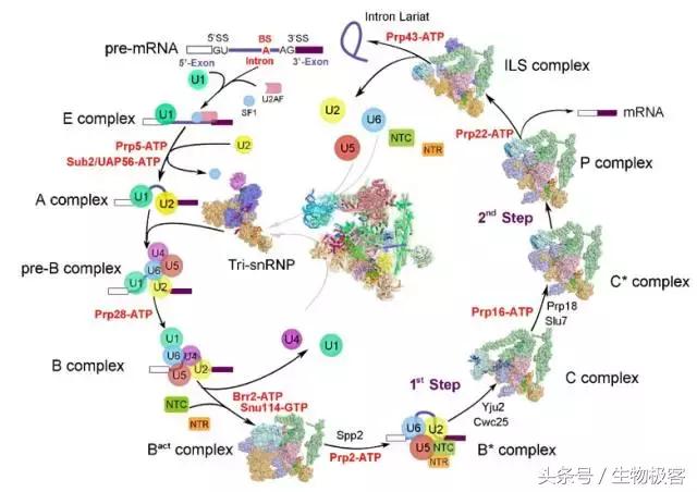 如何评价施一公与冷冻电镜,施一公怎么发现冷冻电镜