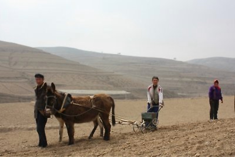 甘肃赏田园风光感受乡村魅力,甘肃渭源风景图片大全