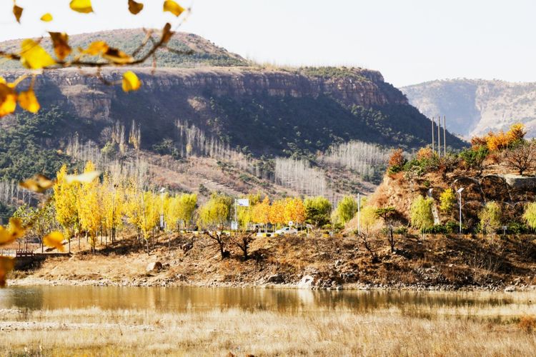 金秋沂南,诗意流淌有那么一群爱美的人,把秋季沂南送到你面前