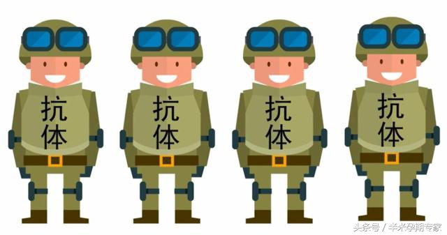 怀孕得甲减怎么办,甲减为什么很难怀孕