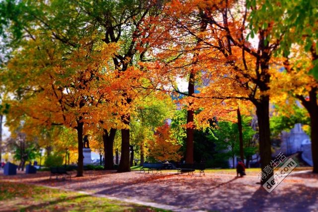 加拿大旅游购物退税流程,加拿大旅行退税