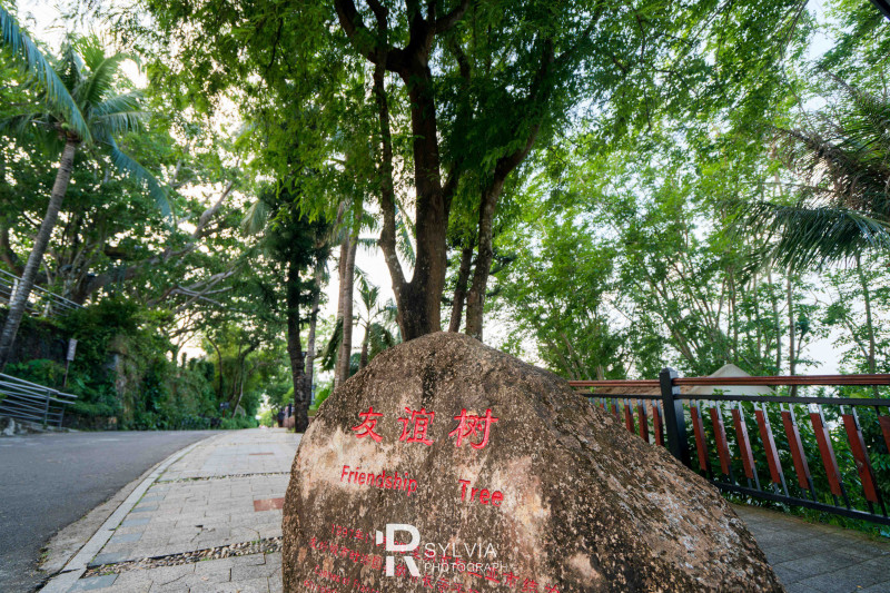 春节去三亚避寒攻略,冬天来三亚避寒