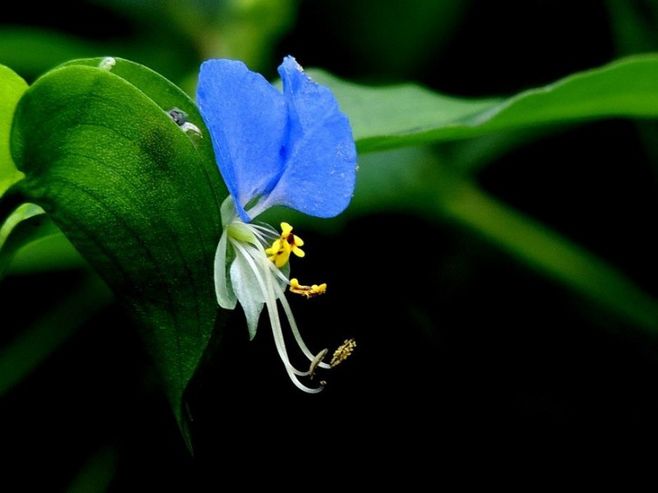 怎样才能知道屋里有甲醇,家里如何自测甲醛