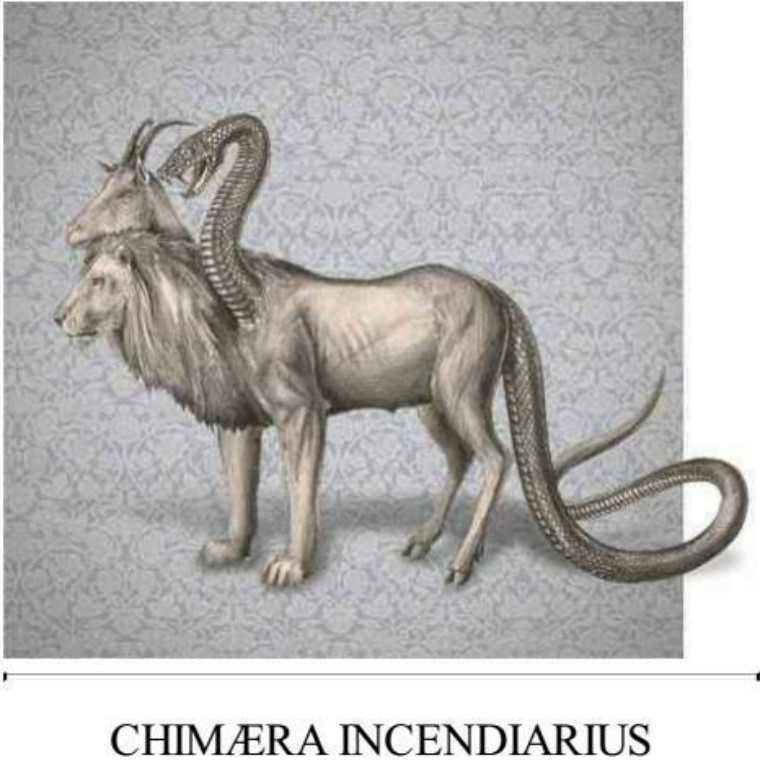 关于解剖美人鱼的电影解说,解剖美人鱼成功视频