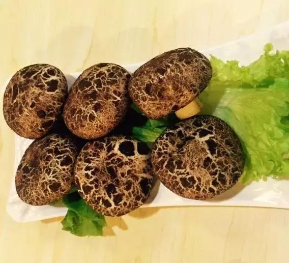 合肥老司机常去的地方,青岛市区情侣约会好去处