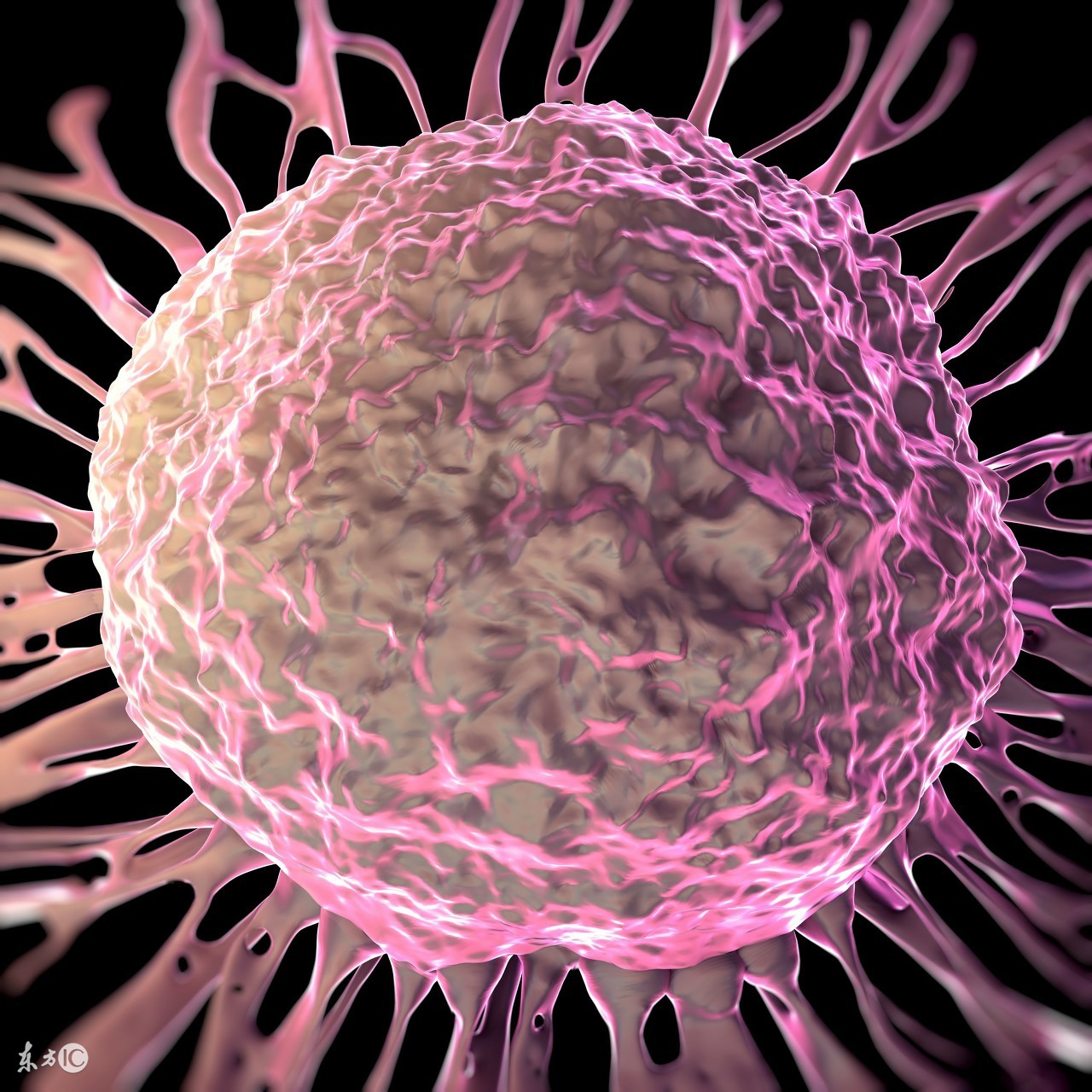 当今肿瘤的诊断和治疗方法,目前肿瘤治疗的几大方法