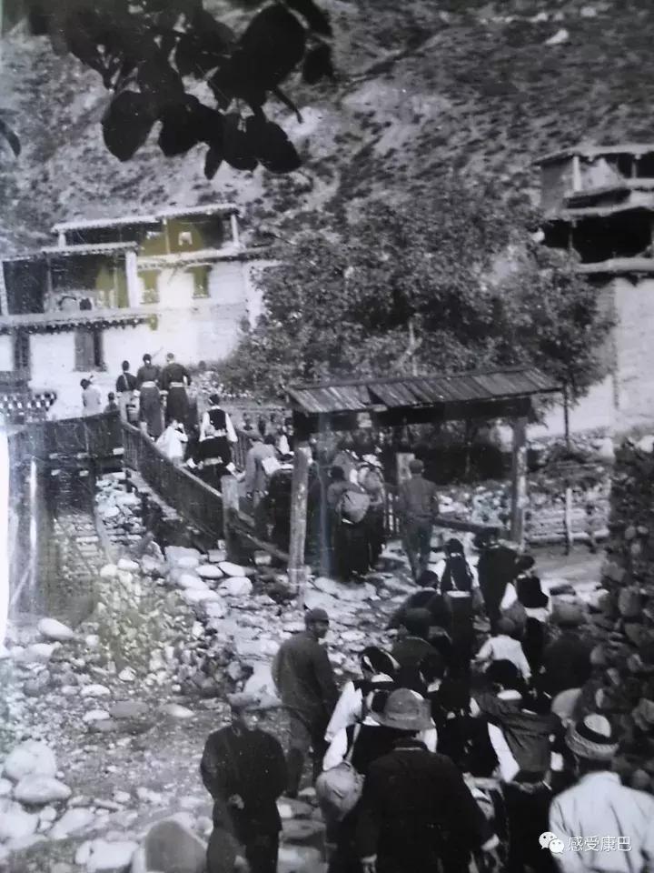 雪山上的红牡丹,藏族雪山上的红牡丹