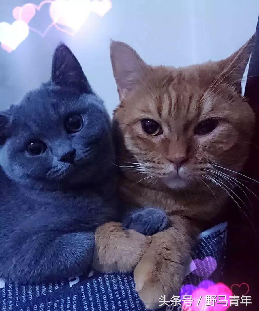 这一年提升幸福感的好物推荐,提升冬天幸福感的物件