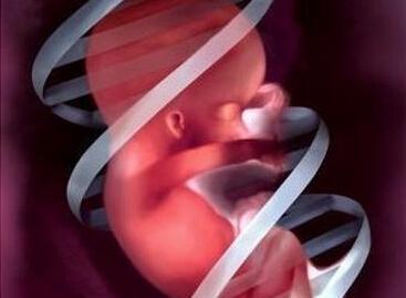 脐带脱垂最易发生,脐带脱垂和脐带扭转的区别