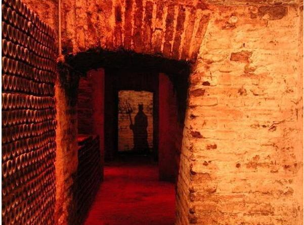 干露酒庄,干露酒庄魔爵赤霞珠红葡萄酒2009