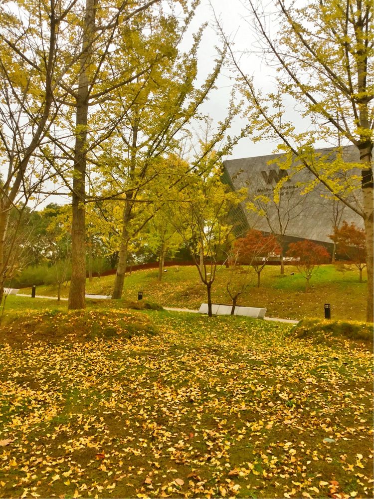 十大最美校园深圳大学,探访最美大学武汉大学