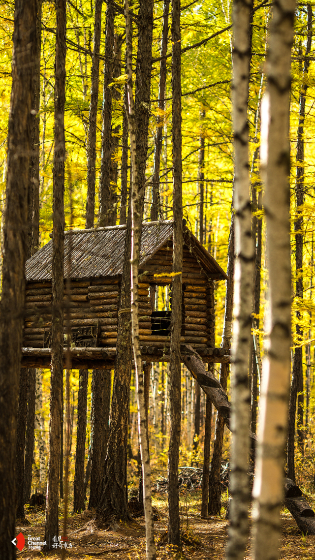这部轻氧纪录片太震撼《了不起的匠人》之后又一匠心巨制
