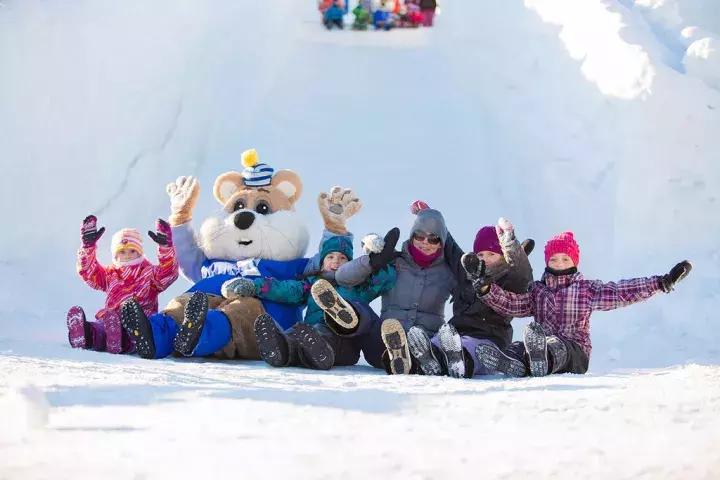 渥太华的冬季,渥太华冬季