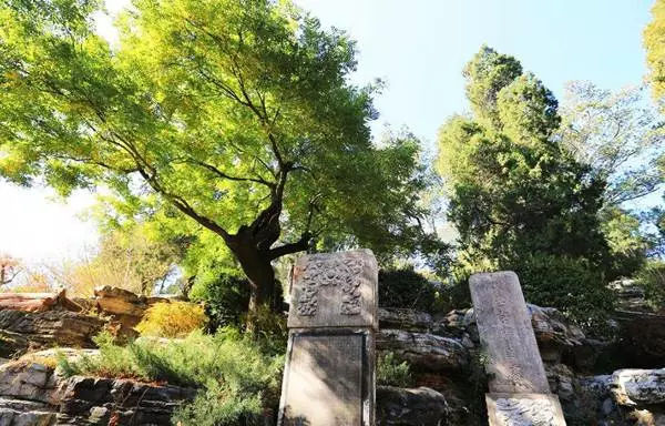 北京值得带父母去的地方推荐,北京带父母去北京不踩坑攻略