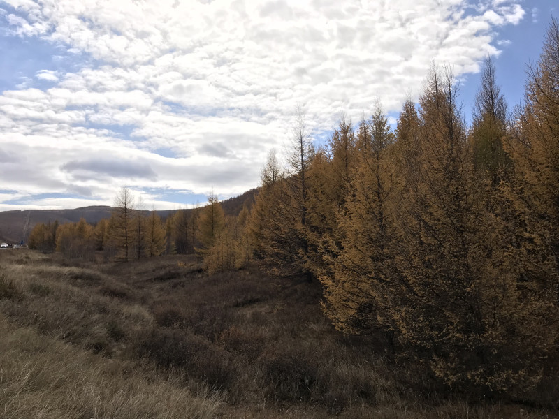 自驾赤峰草原2日,自驾赤峰草原视频