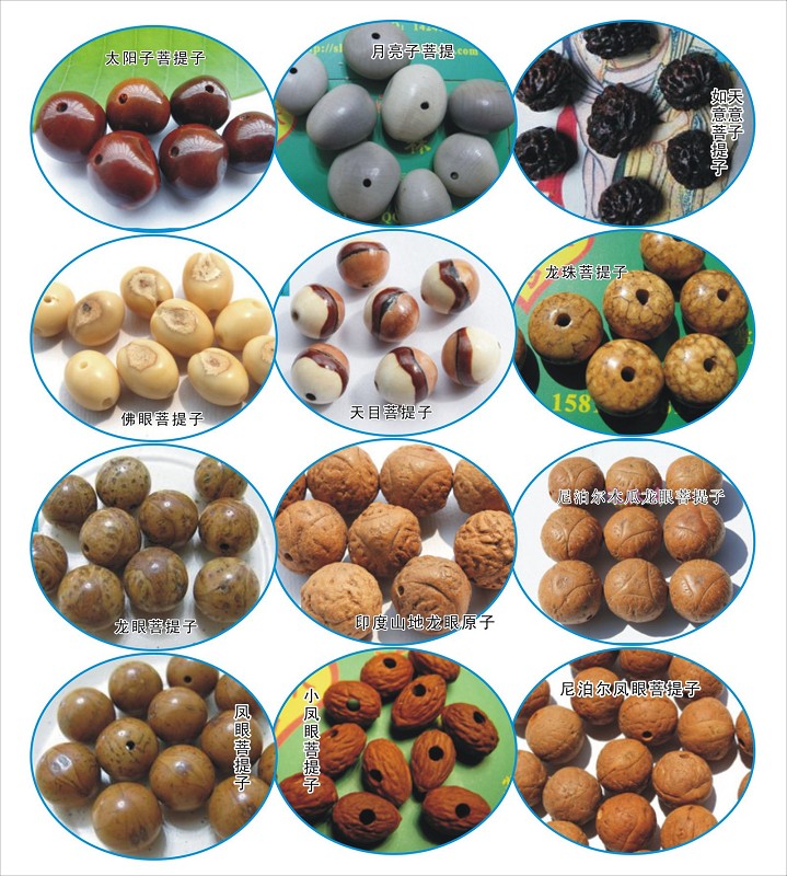 去旅游再也不怕奸商蒙人了，一篇能让你认清所有菩提子的文章！