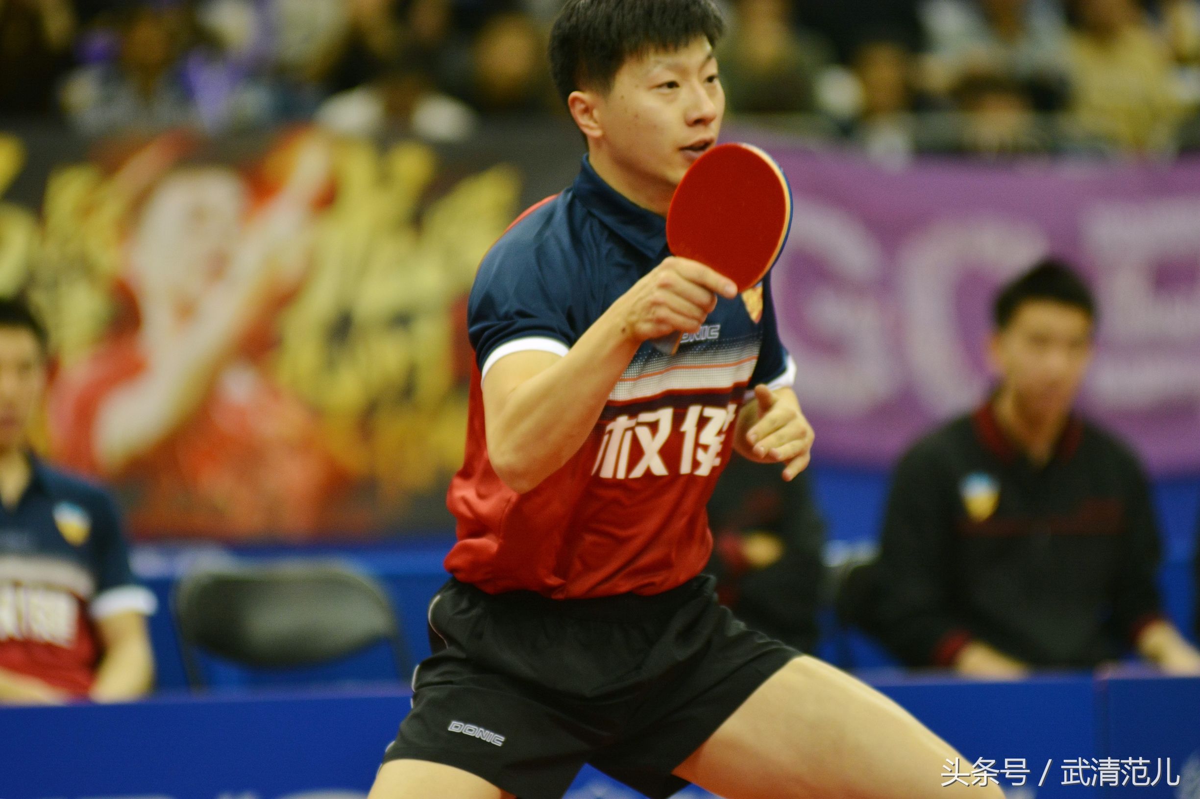 马龙亮相权健,马龙天津权健主场